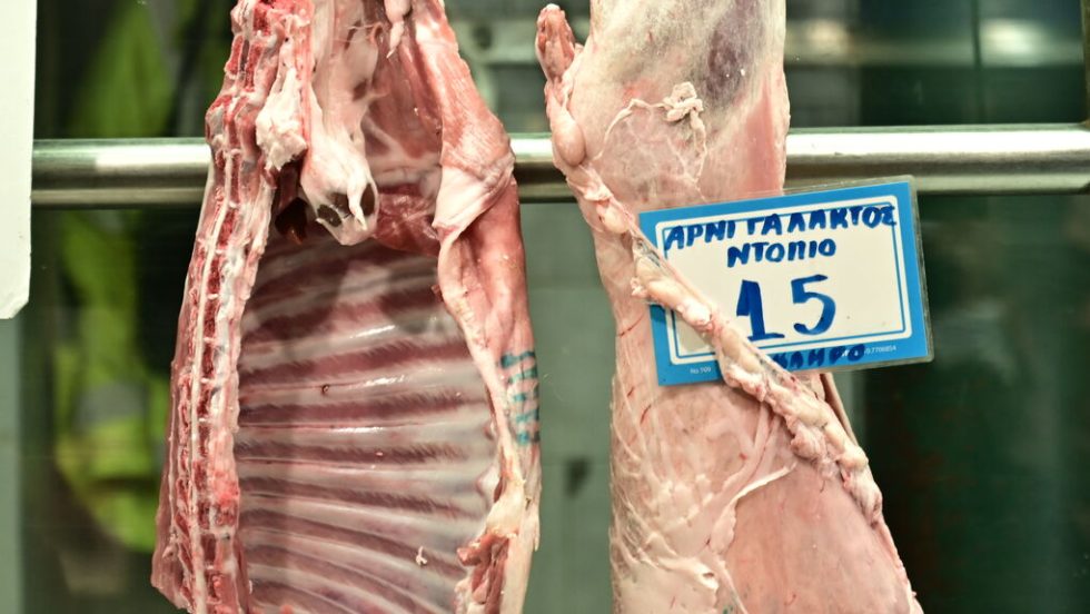 Παράνομες ελληνοποιήσεις για το 35% των αμνοεριφίων